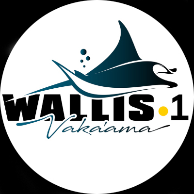 Logo Wallis 1ere Vakaama